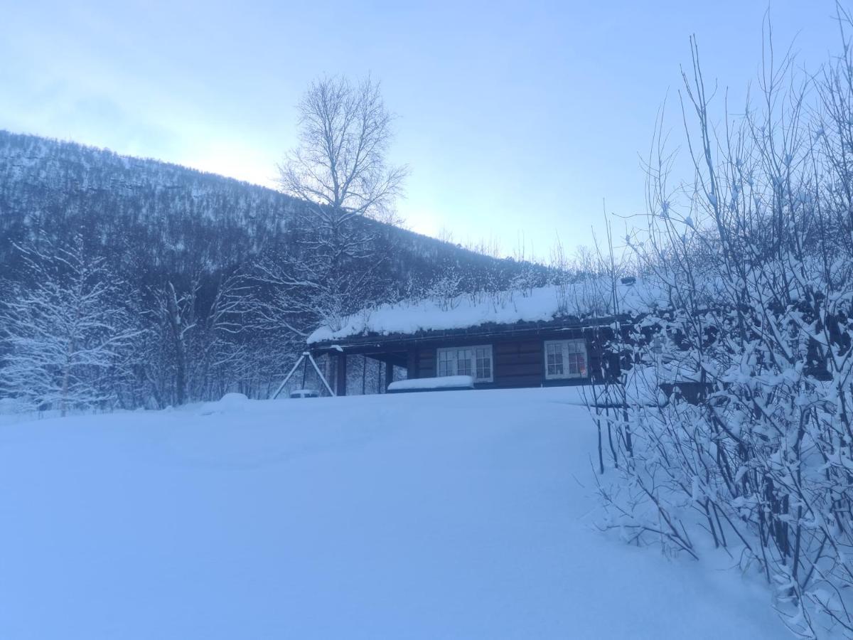 Sunndalsøra Sunndalsfjord Cottages Fredsvik Meisalstranda 455,506 Og 508 מראה חיצוני תמונה