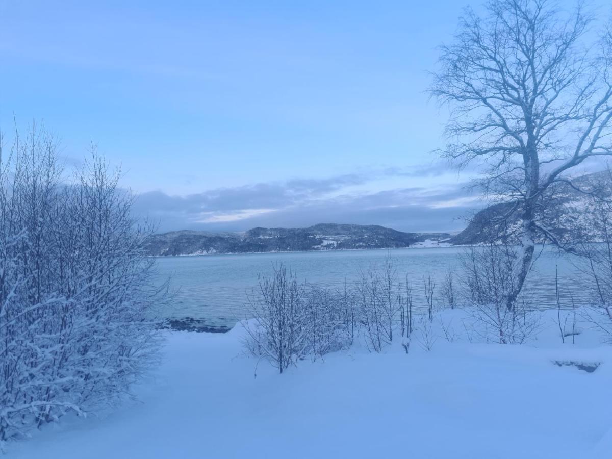 Sunndalsøra Sunndalsfjord Cottages Fredsvik Meisalstranda 455,506 Og 508 מראה חיצוני תמונה