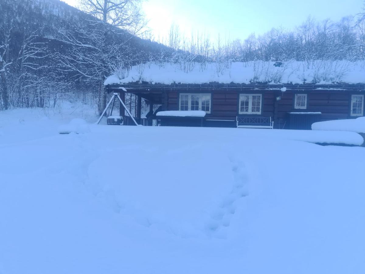 Sunndalsøra Sunndalsfjord Cottages Fredsvik Meisalstranda 455,506 Og 508 מראה חיצוני תמונה