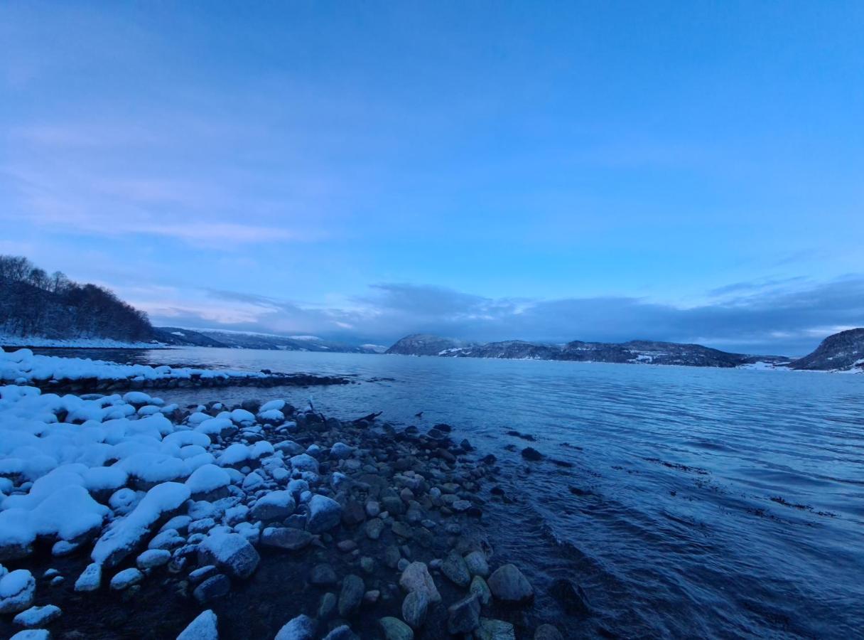 Sunndalsøra Sunndalsfjord Cottages Fredsvik Meisalstranda 455,506 Og 508 מראה חיצוני תמונה