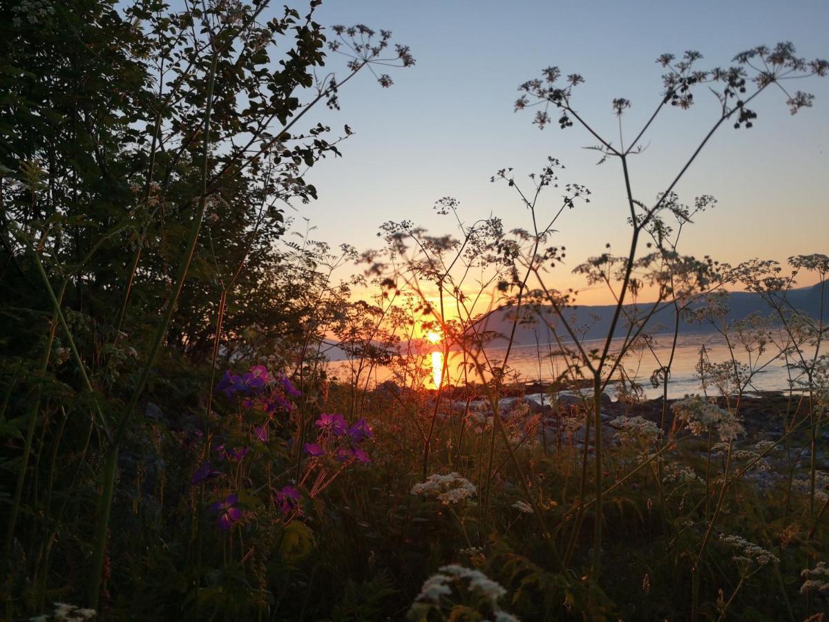 Sunndalsøra Sunndalsfjord Cottages Fredsvik Meisalstranda 455,506 Og 508 מראה חיצוני תמונה