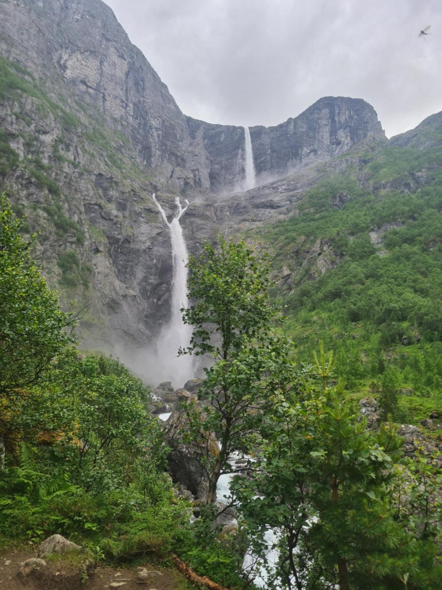 Sunndalsøra Sunndalsfjord Cottages Fredsvik Meisalstranda 455,506 Og 508 מראה חיצוני תמונה