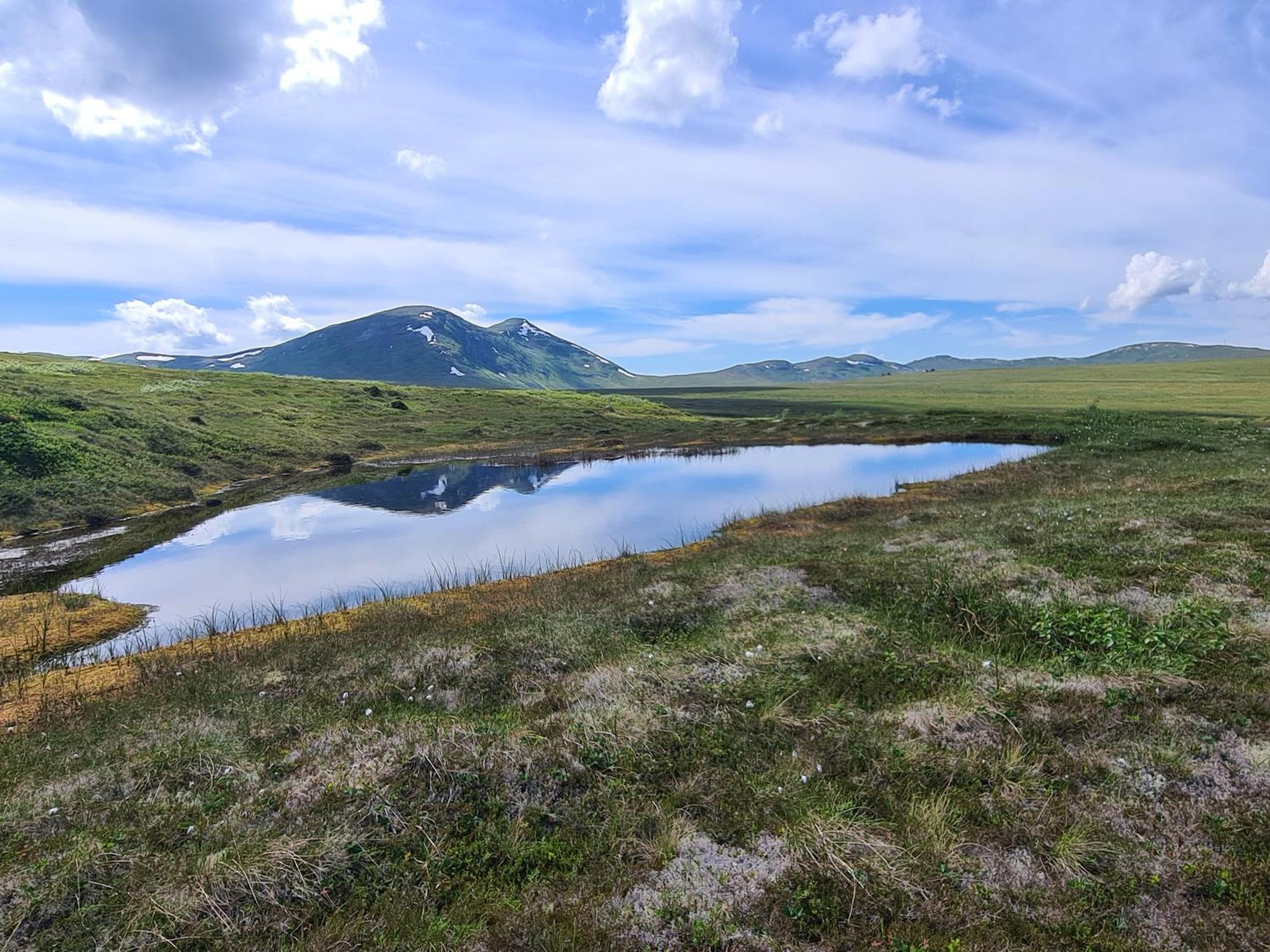 Sunndalsøra Sunndalsfjord Cottages Fredsvik Meisalstranda 455,506 Og 508 מראה חיצוני תמונה